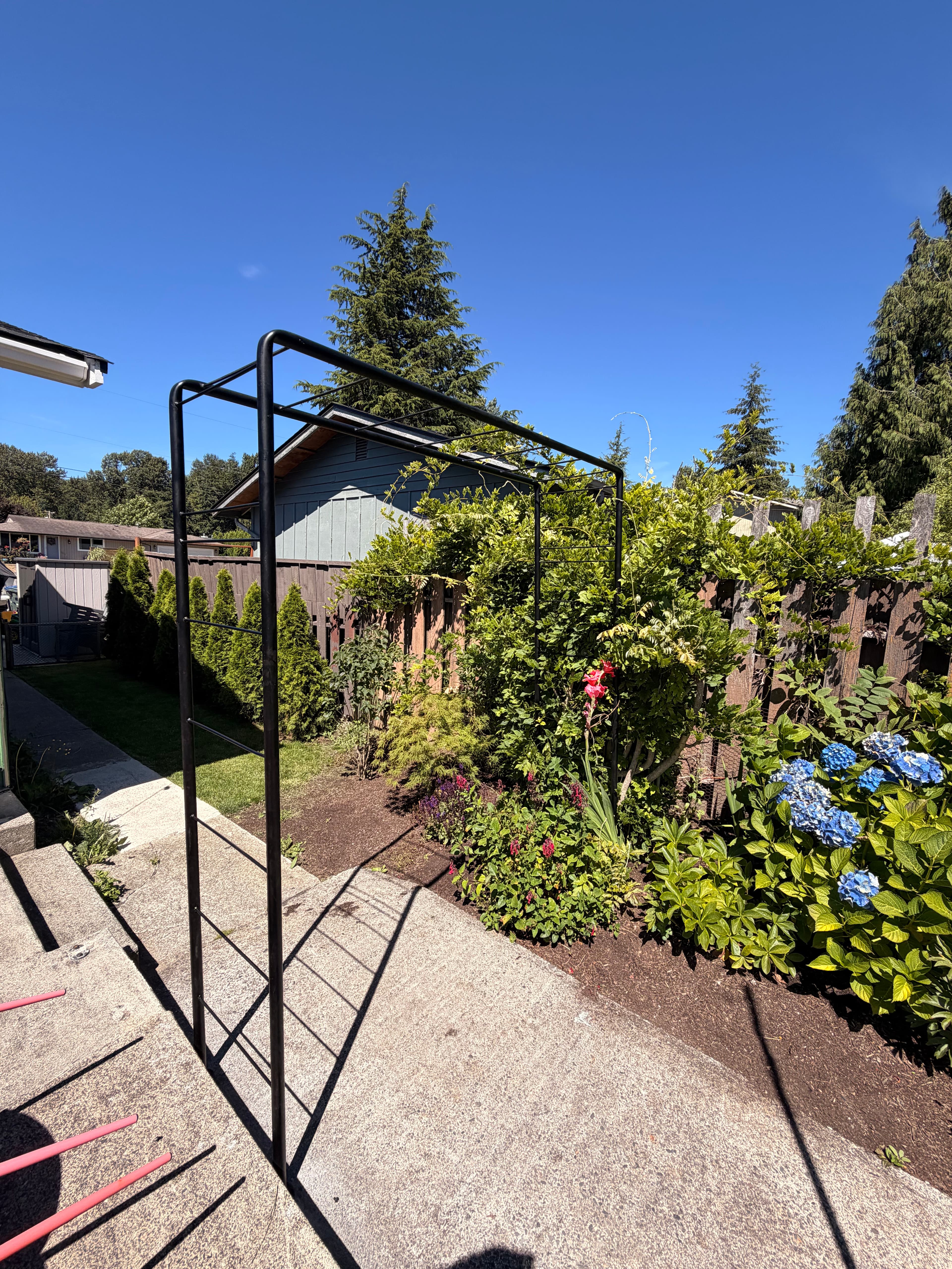 Project Custom Steel Garden Trellis Built for Backyard Wisteria image
