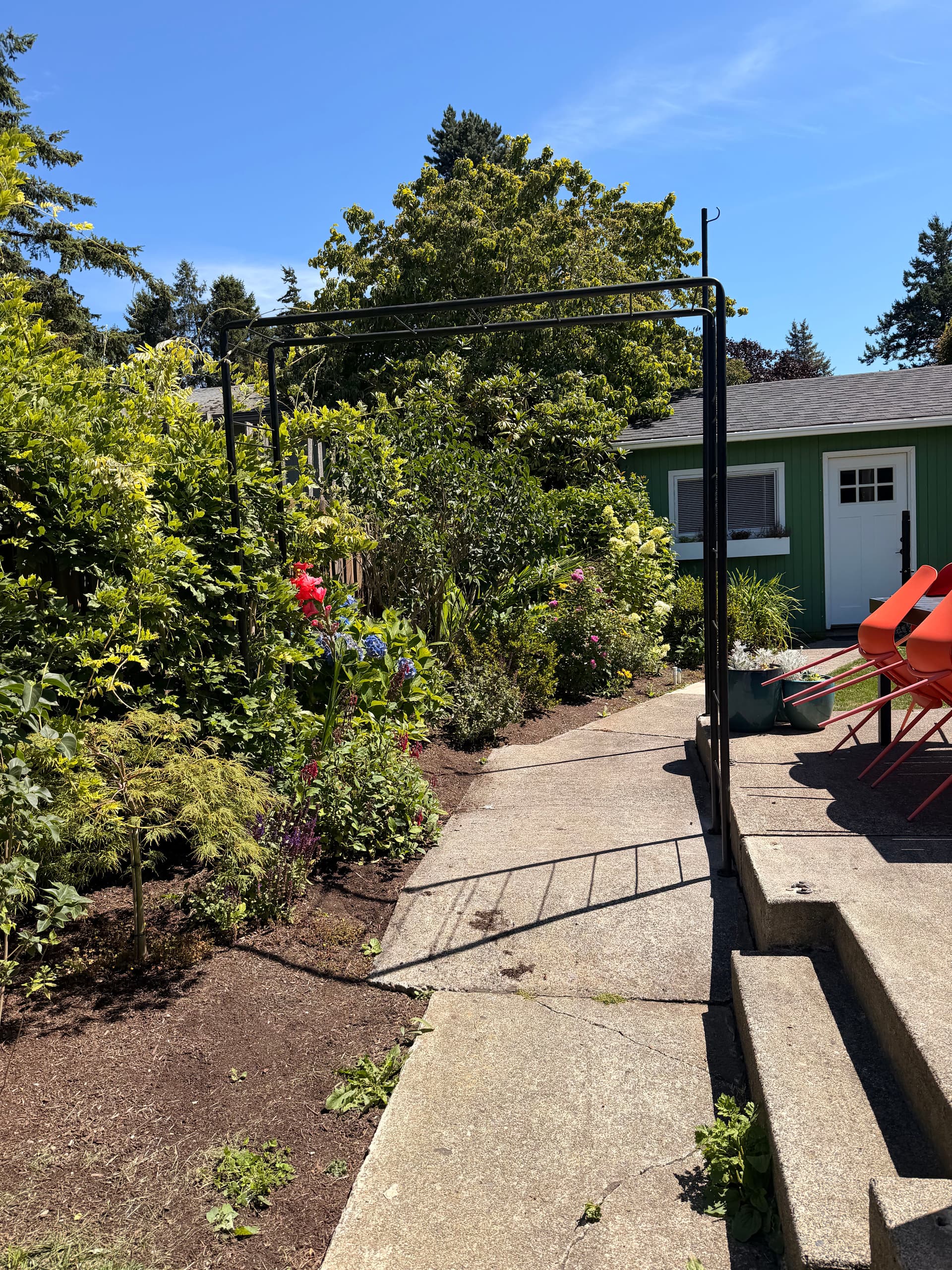 Gallery photos for Custom Steel Garden Trellis Built for Backyard Wisteria: Image #2