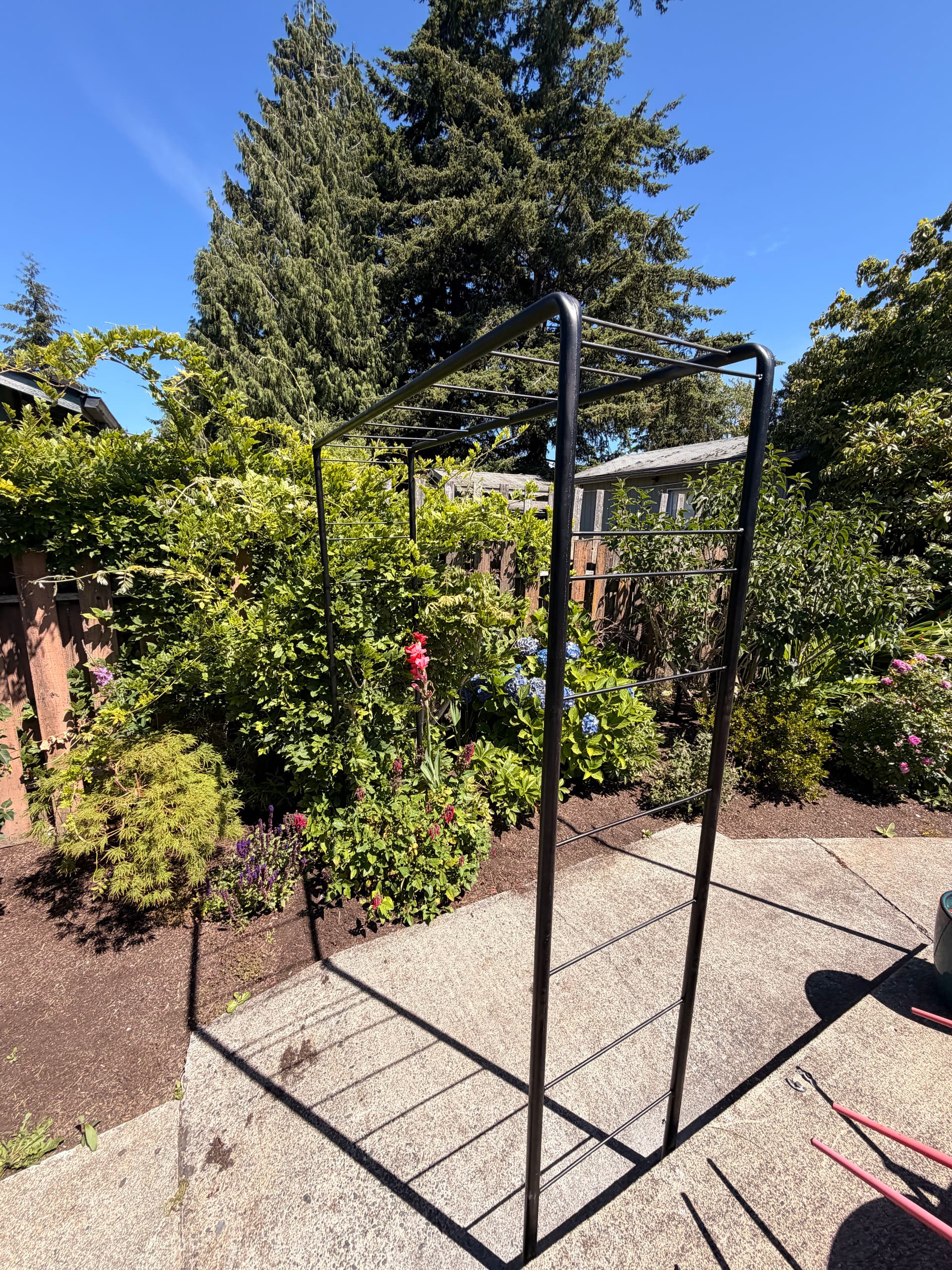 Gallery photos for Custom Steel Garden Trellis Built for Backyard Wisteria: Image #1